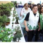 Mumbai’s bonsai exhibition highlights environmental awareness | Mumbai News