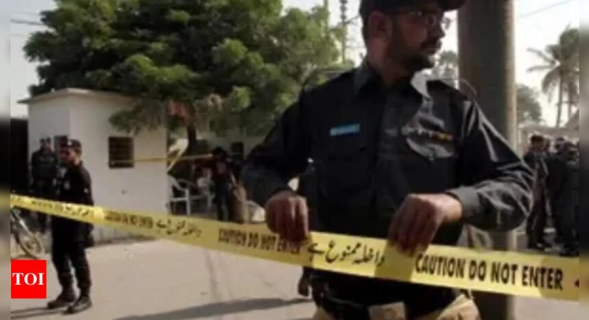 Pakistan News: Gunmen Kill 7 Punjabi Travelers in Pakistan's Balochistan Province | World News