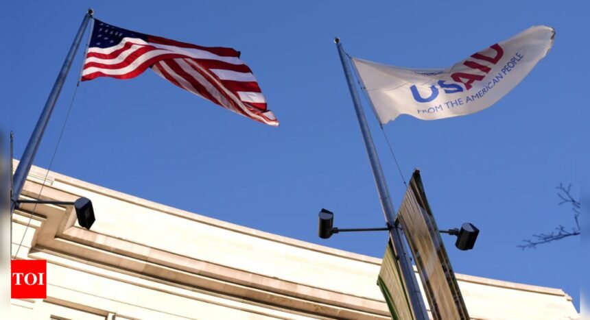 Politico USAID: MAGA claims 'Politico' received money from USAID: 'The corruption is endless'