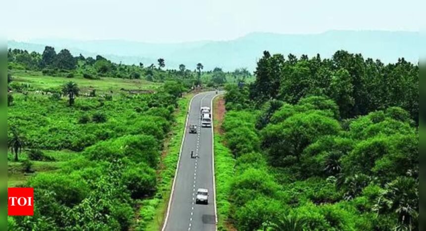 SC to government: Don't do anything that shrinks forests | India News