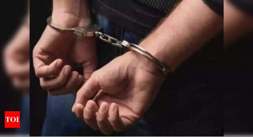 Surat businessmen arrested for evading Rs 5.6 crore customs duty | Mumbai News