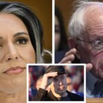 Tulsi Gabbard Bernie Sanders: Elon Musk agrees Bernie Sanders is a fraud for voting 'no' on Tulsi Gabbard confirmation