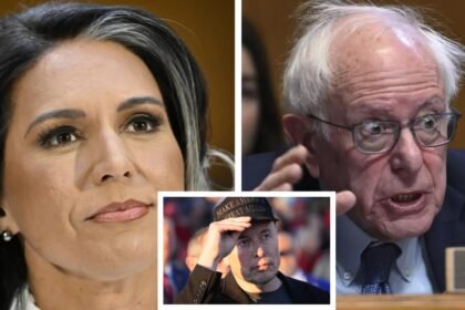 Tulsi Gabbard Bernie Sanders: Elon Musk agrees Bernie Sanders is a fraud for voting 'no' on Tulsi Gabbard confirmation