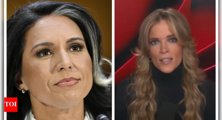 Tulsi Gabbard Latest News: Megyn Kelly says Tulsi Gabbard's confirmation hearing was difficult only because...