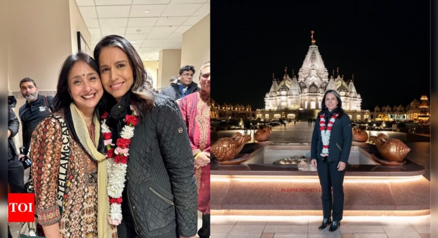 Tulsi Gabbard: Tulsi Gabbard confirmed as DNI: How Hindu-Americans reacted to her nomination