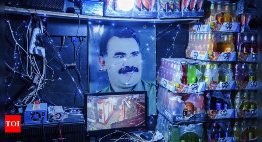 Turkey detains 282 suspects in a dayslong operation against Kurdish insurgents | World News