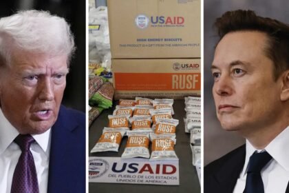 What is USAID and why do Donald Trump, Elon Musk want it closed?