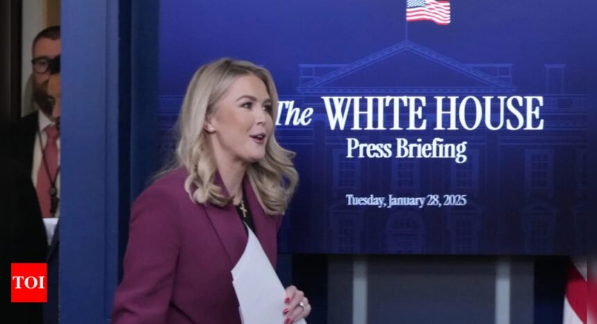 White House Clarification On Gaza: Karoline Leavitt clarifies Donald Trump has not committed to putting boots on the ground in Gaza